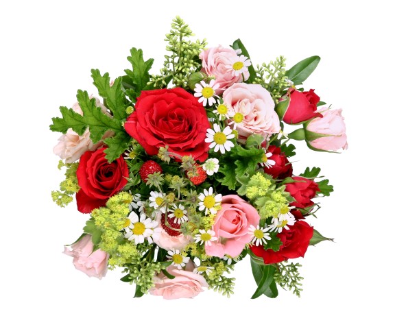 Blumen Freude